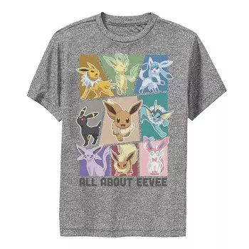 Футболка Pokemon All About Eevee Boxes для мальчика Licensed Character, цвет Charcoal Heather