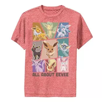 Футболка Pokemon All About Eevee Boxes для мальчика Licensed Character, цвет Red Heather