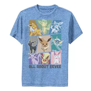Футболка Pokemon All About Eevee Boxes для мальчика Licensed Character, цвет Royal Heather