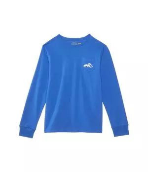Футболка Polo Ralph Lauren Kids Cotton Jersey Long-Sleeve Graphic Tee, цвет Scottsdale Blue