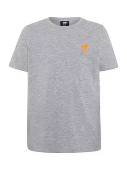 Футболка Polo Sylt, серый