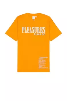 Футболка Puma Select X Pleasures Typo, оранжевый