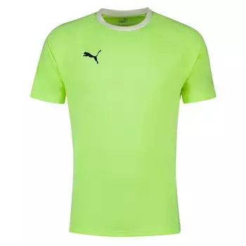 Футболка Puma Teamliga, желтый