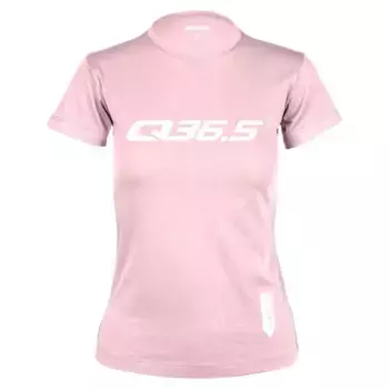 Футболка Q36.5 Rosa Antico, серый