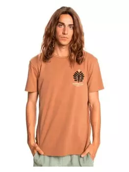 Футболка Quicksilver Tshirt, коричневый