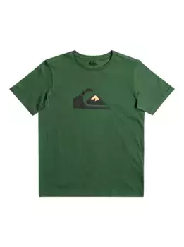 Футболка Quiksilver "Comp Logo", зеленый