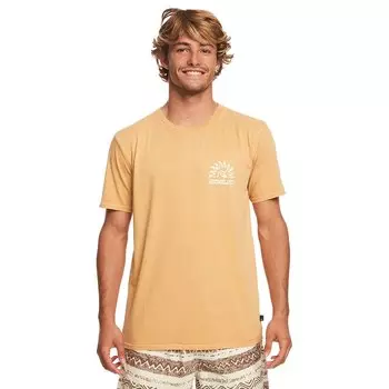 Футболка Quiksilver Earthy Type Ss, желтый
