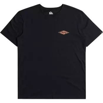 Футболка Quiksilver Fossilized, черный