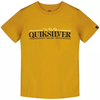 Футболка Quiksilver Gradient Line, желтый