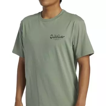 Футболка Quiksilver Island Mode, зеленый