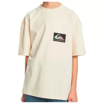Футболка Quiksilver Kid's Back Flash S/S, цвет Birch