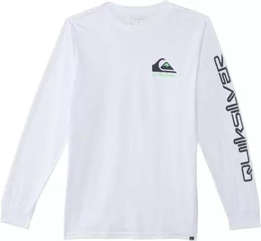 Футболка Quiksilver Kids Omni Logo Long Sleeve Tee, белый