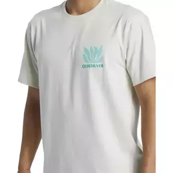 Футболка Quiksilver Natural Forms, белый