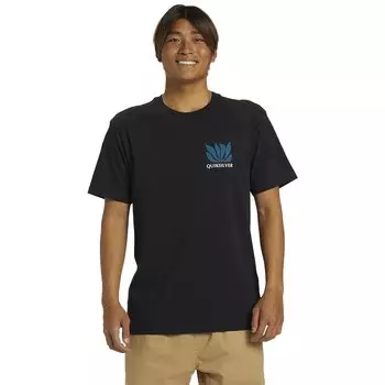 Футболка Quiksilver Natural Forms, черный