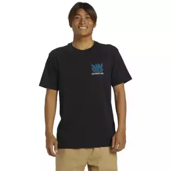 Футболка Quiksilver Natural Forms, черный