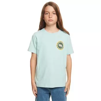 Футболка Quiksilver Omni Circle, зеленый