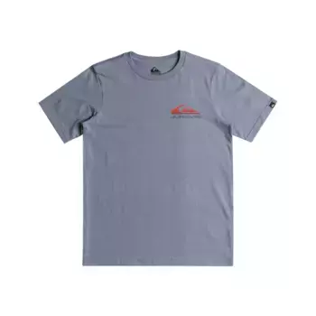 Футболка Quiksilver «OMNI WAVE SHORT SLEEVE YOUTH», цвет FLINT STONE