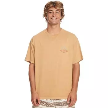 Футболка Quiksilver Qs Bloom Ss, бежевый