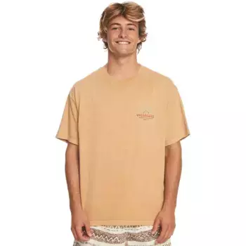 Футболка Quiksilver Qs Bloom Ss short sleeve v neck, бежевый