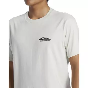 Футболка Quiksilver Retro Rocker, белый