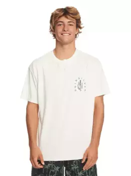Футболка Quiksilver "Серебряная подкладка", цвет Birch