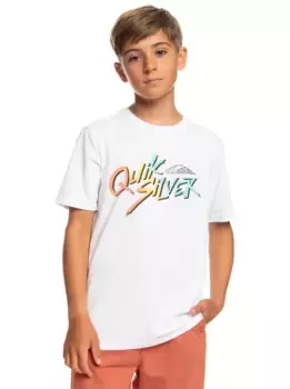 Футболка Quiksilver "Signature Move", белый