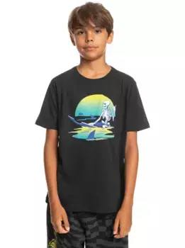 Футболка Quiksilver "Sunset Session", черный