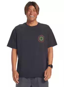 Футболка Quiksilver "Tipping Sunsets", цвет Tarmac