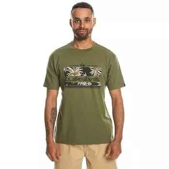 Футболка Quiksilver Top Rain Bow, зеленый