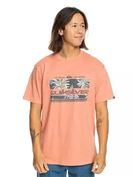 Футболка Quiksilver TROPICAL RAINBOW SS, розовый