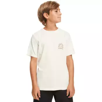 Футболка Quiksilver «Земляной тип», цвет Birch