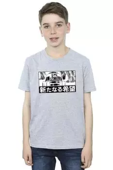 Футболка R2D2 Star Wars, серый