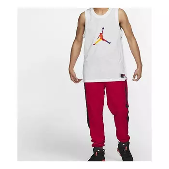 Футболка радужные большие мужские Air Jordan, белый