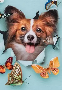 Футболка RAGNHILDE Molo, бирюзовый