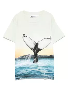 Футболка Раме Molo, зеленый