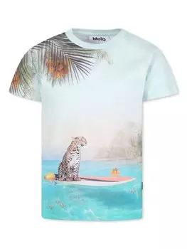 Футболка Рауля Molo, синий