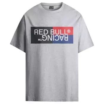 Футболка Red Bull Racing Colour Block Logo Tee, серый