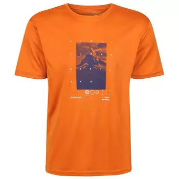 Футболка Regatta Fingal VI, оранжевый
