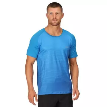 Футболка Regatta Pinmor, синий