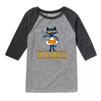 Футболка реглан с рисунком кота Пита для мальчиков 8–20 лет Pete The Cat
