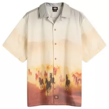 Футболка Running Wild Vacation Dickies, цвет oak buff