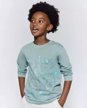 Футболка с динозавром трицератопса Sfera, зеленый