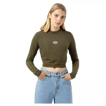 Футболка с длинным рукавом Dickies Maple Valley, зеленый