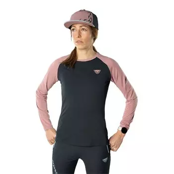 Футболка с длинным рукавом Dynafit Alpine Pro, серый