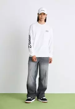 Футболка с длинным рукавом GRAPHIC TEE Dickies, белый