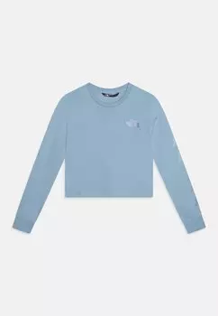 Футболка с длинным рукавом Graphic Tee Unisex The North Face, цвет steel blue