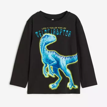 Футболка с длинным рукавом H&M Dinosaur, черный