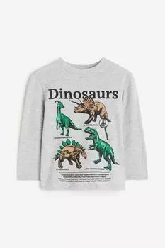 Футболка с длинным рукавом H&M Dinosaurs, светло-серый меланж