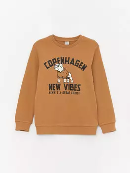 Футболка с длинным рукавом и круглым вырезом для мальчиков с принтом LCW Kids, светло-коричневый