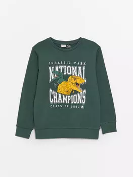 Футболка с длинным рукавом и круглым вырезом для мальчиков с принтом LCW Kids, средне-зеленый
